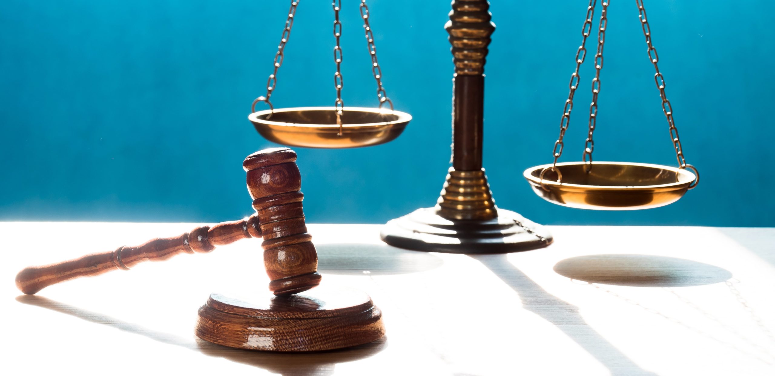 Estate Litigation - Werner Law Firm